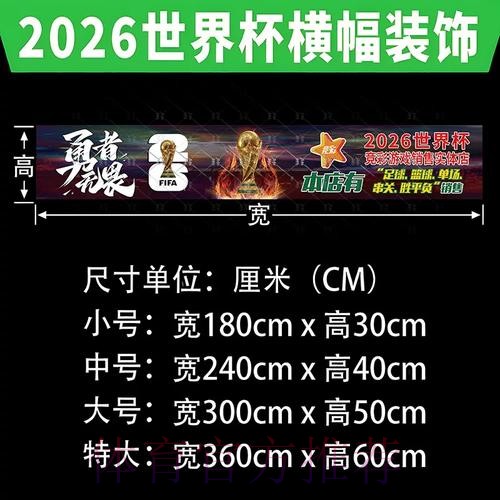 全面解读世界杯投注分析全站策略与技巧